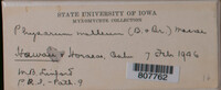 Image Associated With the Occurence